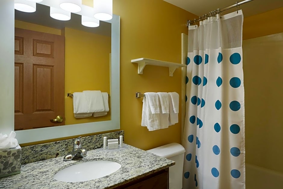 TownePlace Suites Tampa North I-75 Fletcher