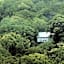 Wayanad Wild  Rainforest Lodge by CGH Earth