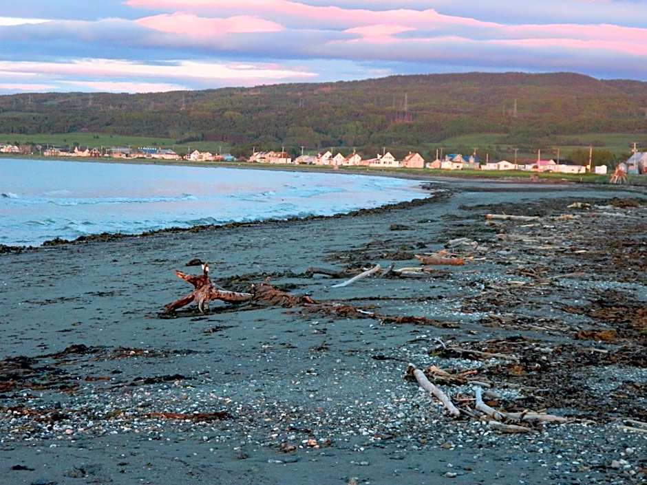 Le Pirate Motel et Camping