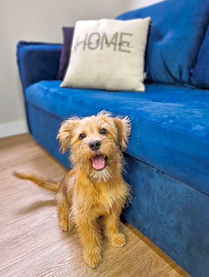 Conforto para família, 2 quartos, Petfriendly