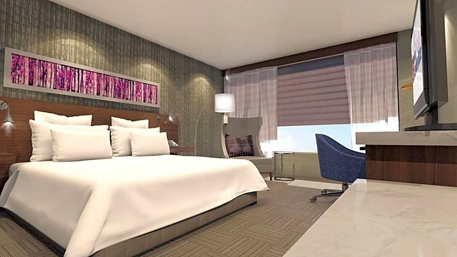 Hilton Garden Inn Ottawa Downtown