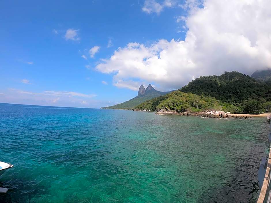 BUSHMAN TIOMAN