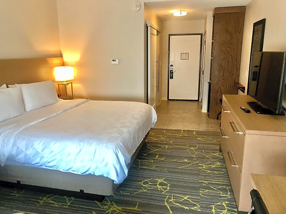 Holiday Inn & Suites Houston NW - Willowbrook By IHG