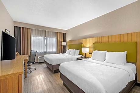 Quadruple Room with Two Queen Beds and Roll-In Shower - Disability Access/Non Smoking
