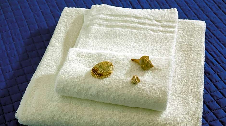 Hotel Plaza con piscina