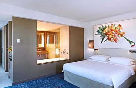 Deluxe King Room - Club Access