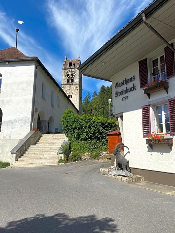 Historic Hotel Steinbock