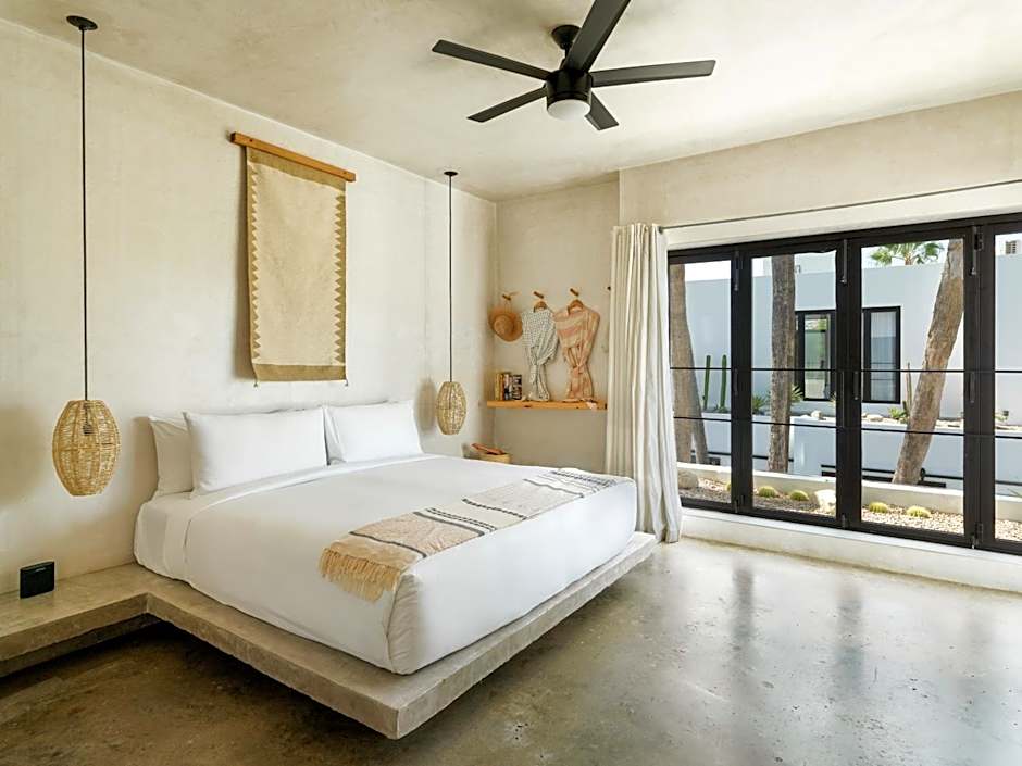 Drift San Jose del Cabo