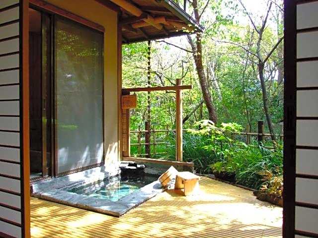 Nonohanatei komurasaki