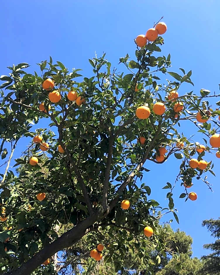 B&B Casa Maria Vittoria