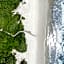 Hampton Inn By Hilton And Suites Jekyll Island