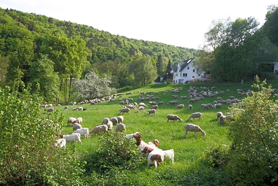 B&B Arlesbrunnen