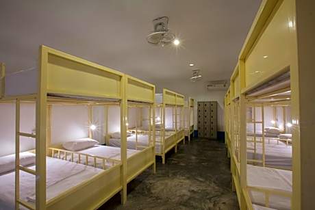 Bunk Bed in Mixed Dormitory Room