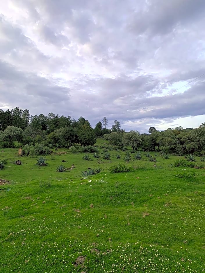 Antigua Hacienda Metepec