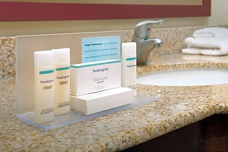 1 King Mobility Access Ri Shwr Suite Nosmok