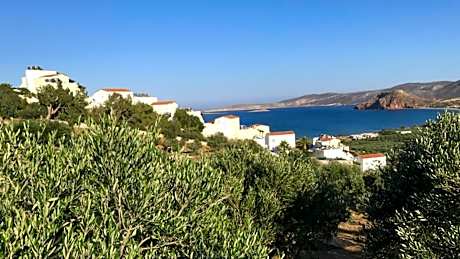 Studios ( 3 Adults) with Side Sea View