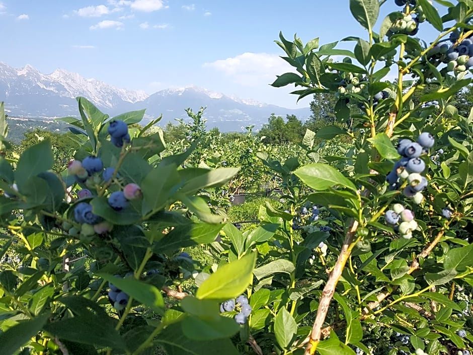 AGRITURISMO La Giasena