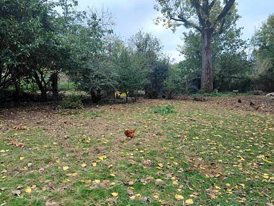 Logis Hôtel De France- Restaurant GRILL