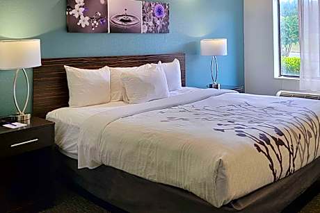 1 King Bed, Nonsmoking