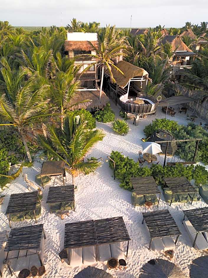Orchid House Tulum Jungle
