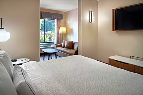 Suite, 1 King, Sofa bed