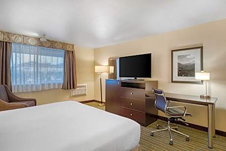 1 King Mobility Accessible Roll In Shower Desk Microwave Fridge Wifi Non-Smoking Full Breakfast