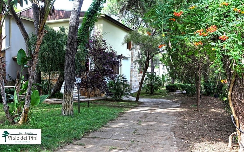B&B Viale dei Pini