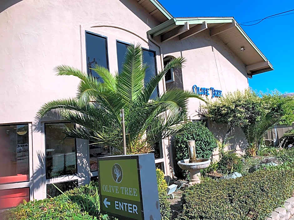 Olive Tree Inn & Suites