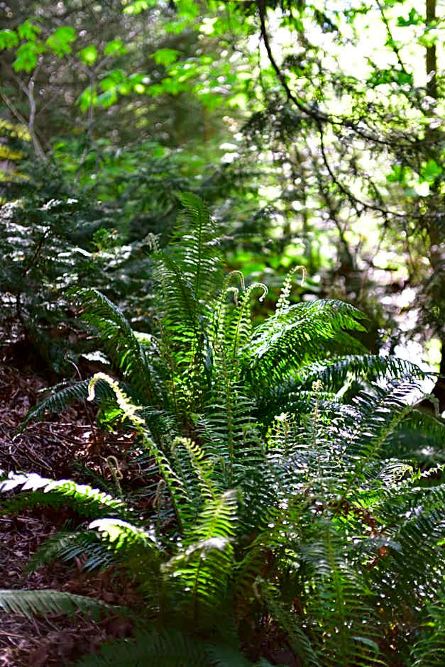 The Rockwell-Harrison Guest Lodge