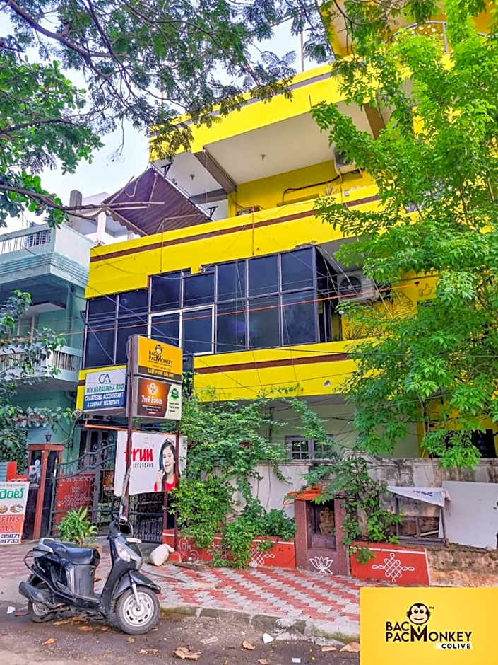 Bacpacmonkeycolive – Visakhapatnam, WI
