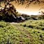 Caracal Lodge