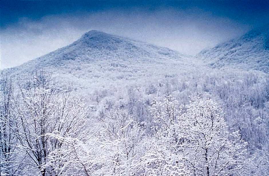 Club Wyndham Smoky Mountains