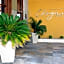 Elegance Flat Hotel