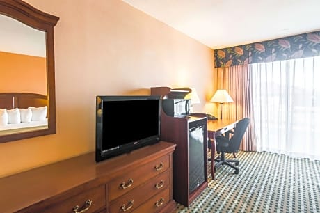 1 King Bed, Nonsmoking, Accessible