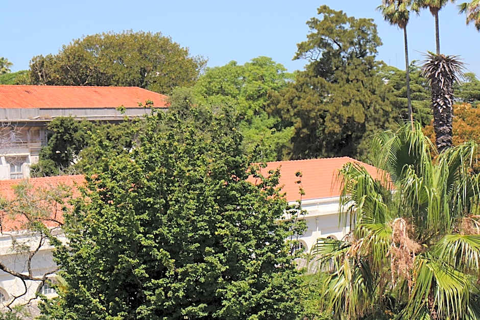 Botanic Views Guest House