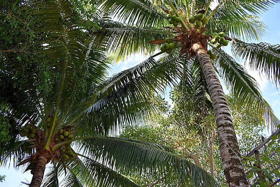 Gastello Inn Tulum