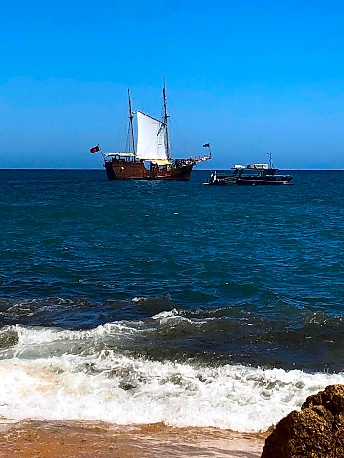 Buddha Bee - 18 to 35 years old only