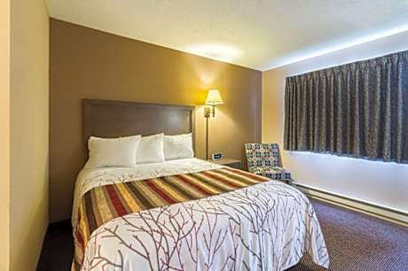 1 Queen Bed Nonsmoking Accessible