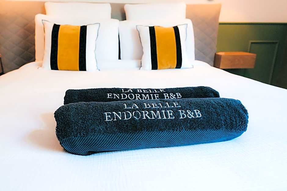 La Belle Endormie B&B French Guest house