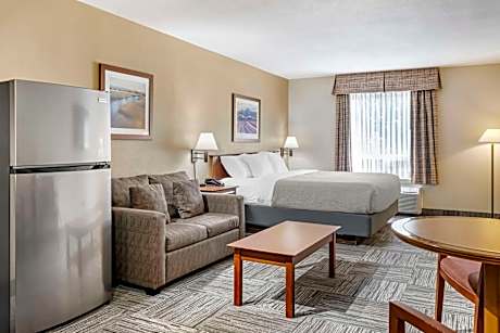 1 King Bed, Efficiency, Nonsmoking, Upgrade