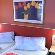 Hotel Hochdorfer Hirschen