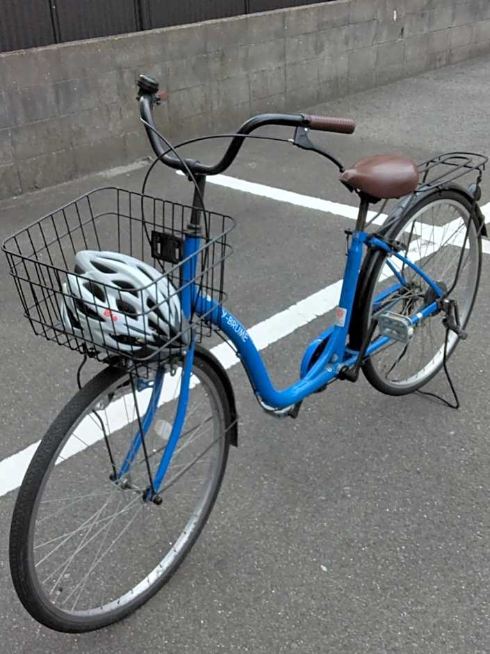 Terminal Hotel Matsuyama