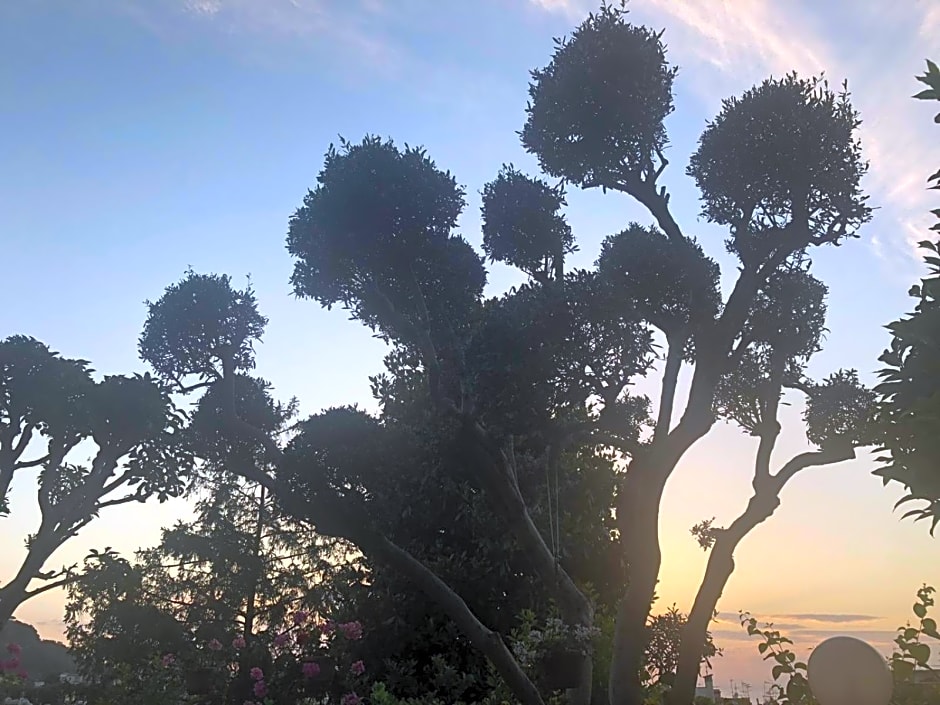 B&B Villa Anna Wunderbar