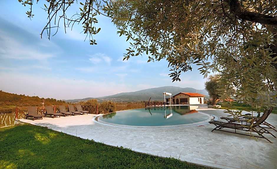 Vinifera Hotel Yedibilgeler Vineyards