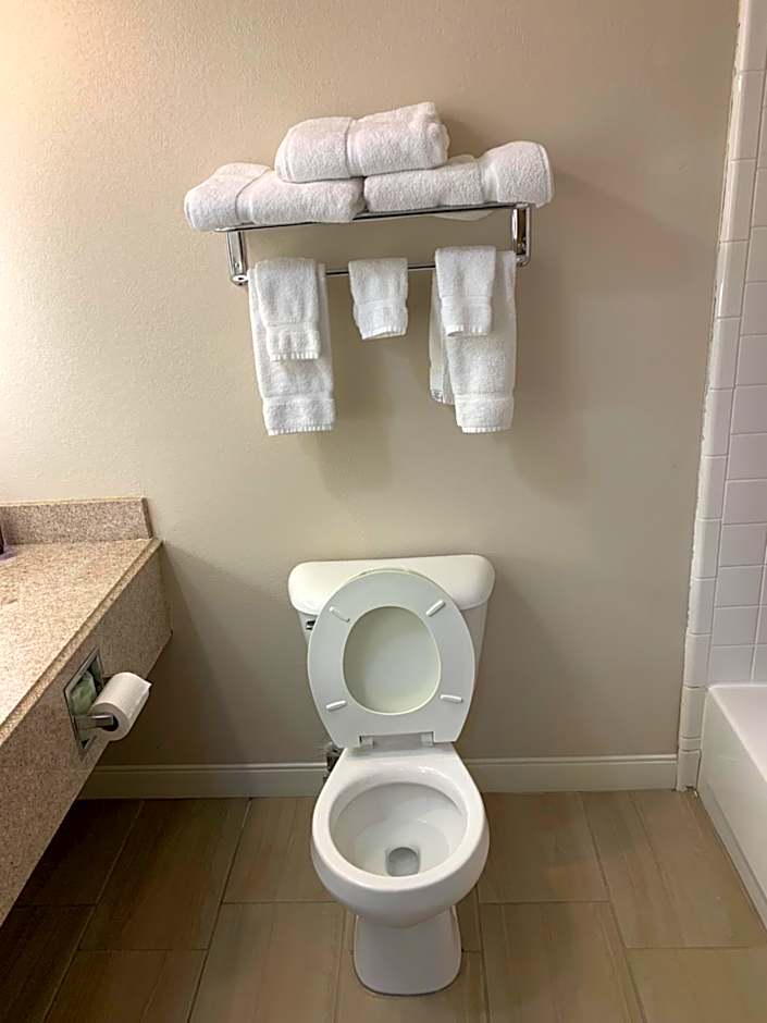 Wingate by Wyndham Brighton