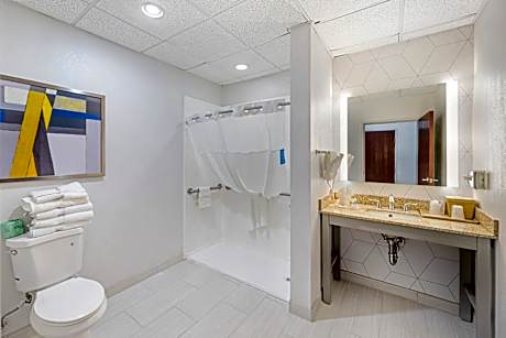 1 King Bed, Suite, Nonsmoking, Accessible