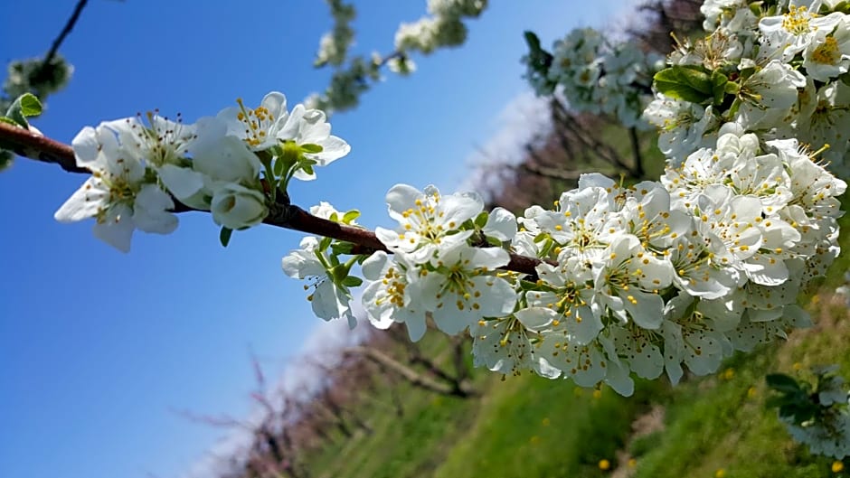 b&b Bigolin Cristina