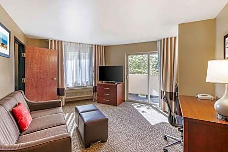 1 King Bed, Suite, Nonsmoking