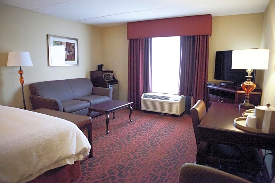 Hampton Inn By Hilton Rochester-Webster