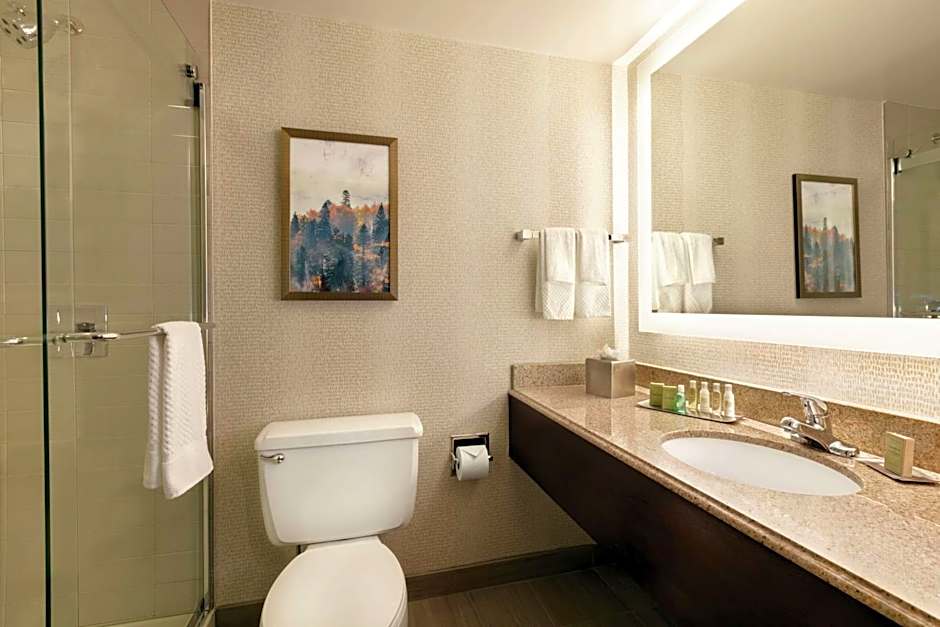 DoubleTree By Hilton Hotel Atlanta Ne/Northlake